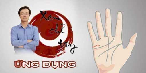 khóa học xem chỉ tay ứng dụng