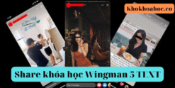 Share khóa học Wingman 5 TEXT