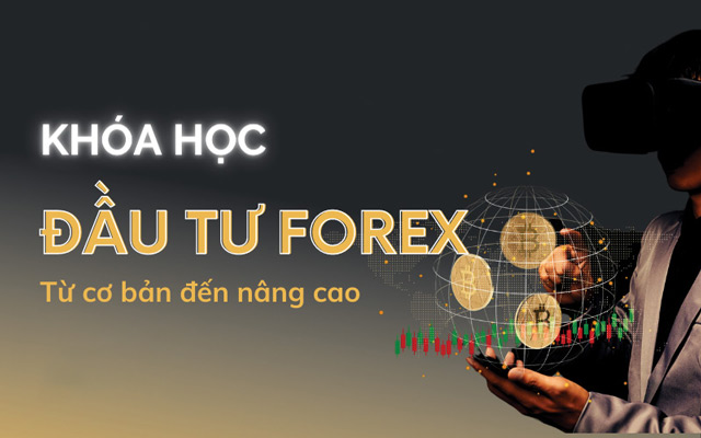 khoá học Đầu tư Forex cho người mới bắt đầu