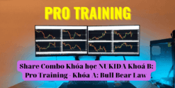 Share Combo Khóa học NUKIDA Khoá B Pro Training - Khóa A Bull Bear Law