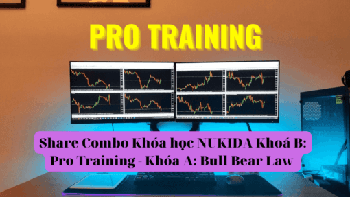 Share Combo Khóa học NUKIDA Khoá B Pro Training - Khóa A Bull Bear Law