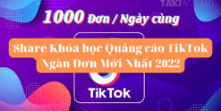 Share Khóa học Quảng cáo TikTok Ngàn Đơn Mới Nhất 2022