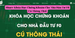 Share Khóa Học Chứng Khoán Cho Nhà Đầu Tư F0 Cú Thông Thái