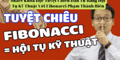 Share Khóa Học Tuyệt Chiêu Đầu Tư Bằng Hội Tụ Kỹ Thuật Với Fibonacci Phạm Thành Biên