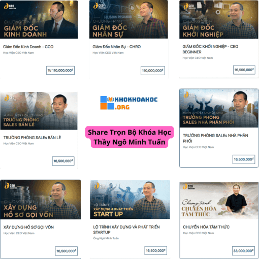 Share Trọn Bộ Khóa Học CEO Ngô Minh Tuấn