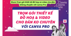 Share Trọn gói thiết kế đồ hoạ và video cho dân không chuyên với Canva Pro