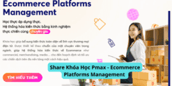 Share Khóa Học Pmax - Ecommerce Platforms Management