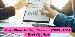 Share Khóa Học Sapp Taxation (TXF6) ACCA – Thuế Việt Nam