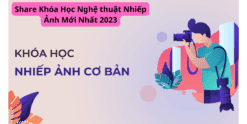 Share Khóa Học Nghệ thuật Nhiếp Ảnh Mới Nhất 2023