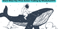 Share Khóa Học Price Action Trading by NhaduhanhFX