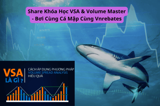 Share Khóa Học VSA & Volume Master - Bơi Cùng Cá Mập Cùng Vnrebates