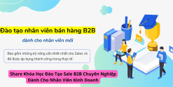 Share Khóa Học Đào Tạo Sale B2B Chuyên Nghiệp Dành Cho Nhân Viên Kinh Doanh