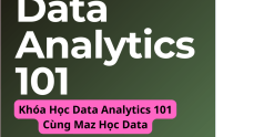 Khóa Học Data Analytics 101 Cùng Maz Học Data