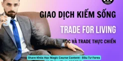 Share Khóa Học Magic Course Content - Đầu Tư Forex Và Chứng Khoán Mới Nhất