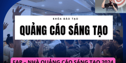 Share Khóa Học Bắt TREND Quảng Cáo Sáng Tạo Với Video Ngắn Cùng Khóa Đào Tạo Fap