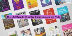 Share Full Trọn Bộ Khóa Học BrandCamp.asia Mới Nhất