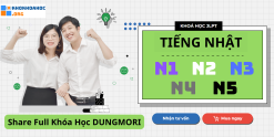 Dungmori Combo Tiếng Nhật Từ N1 đến N5