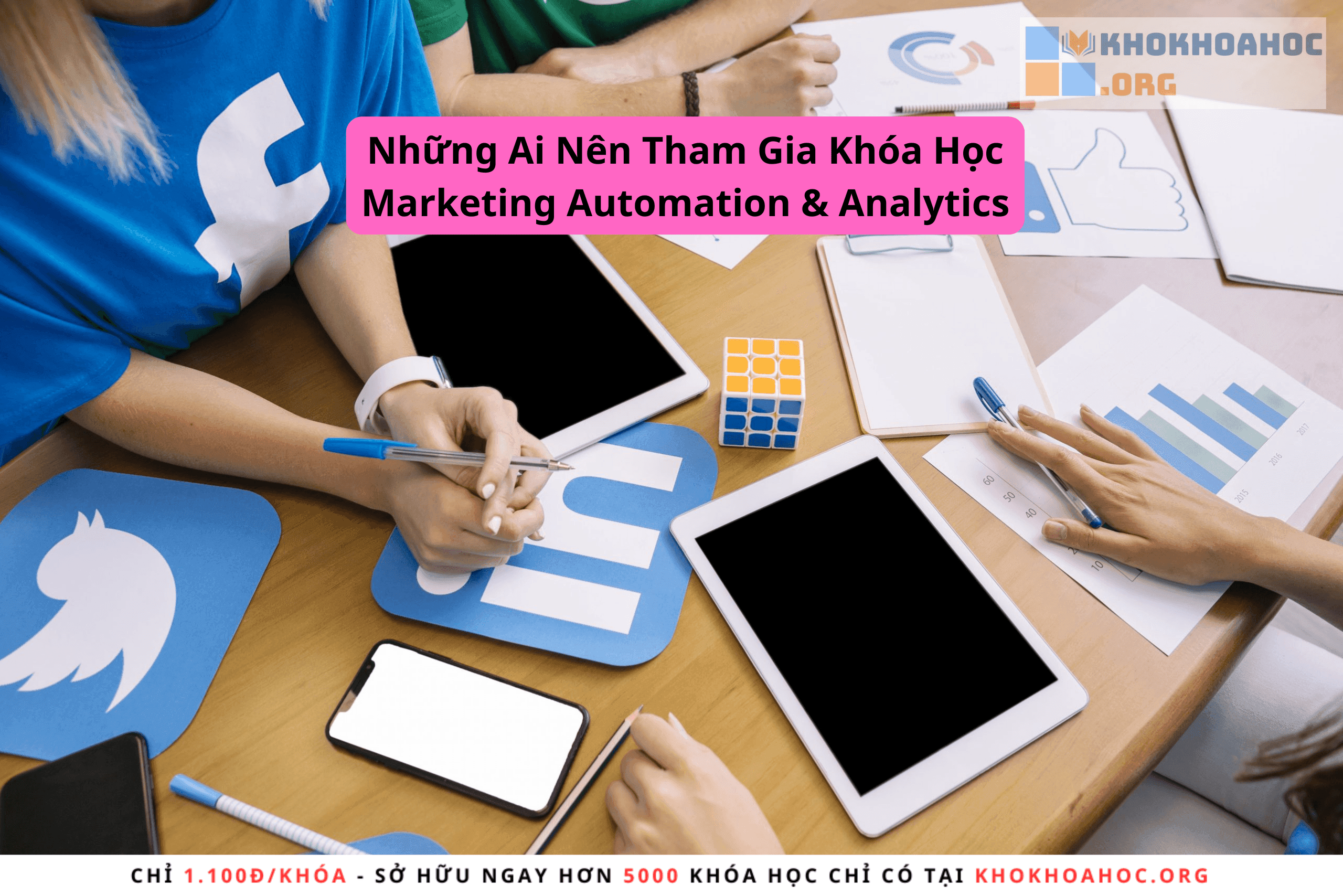 Những Ai Nên Tham Gia Khóa Học Marketing Automation & Analytics