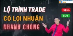 Share Khóa Học Bí Quyết Tạo Lợi Nhuận Nhanh Chóng Trong Trading Cùng Nguyễn Quang Thuyên